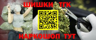 эйфоретик Кингисепп